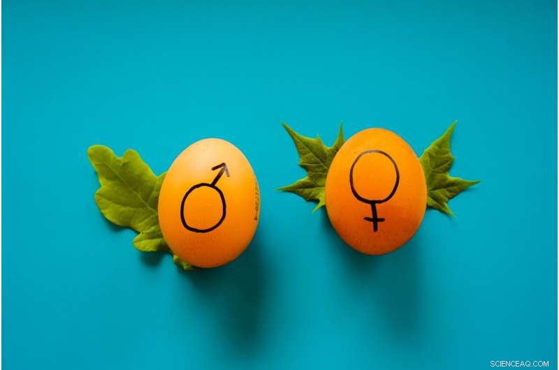 Stereotypes Persist Without Evidence: How Bias Reinforces Itself