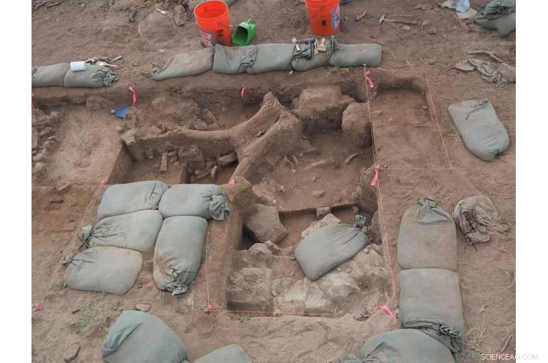 New Mexico Mammoth Remains Provide Strongest Proof of Early Human Presence in North America