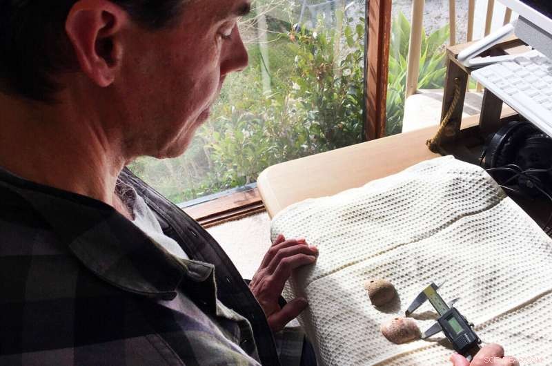 World’s Oldest Octopus Lure Discovered in Mariana Islands – A 3,500-Year-Old Treasure