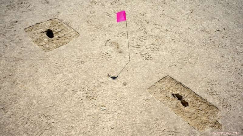 Historic Ice Age Footprints Unearthed on Utah Desert Salt Flats