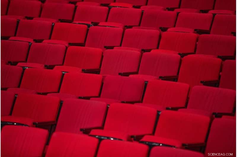 How Marketing, Funding, and Location Drive Diversity in Performing Arts Nonprofits