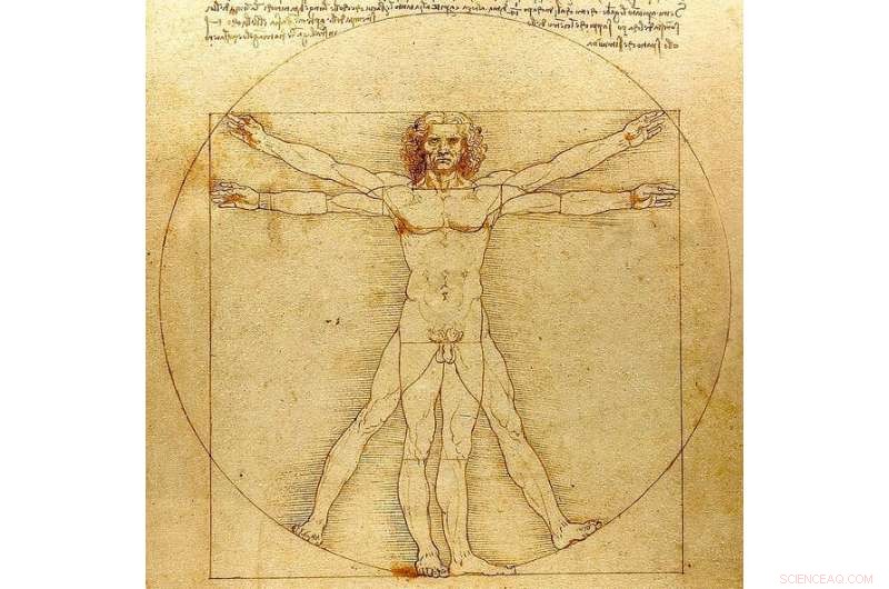 Amber Heard and the Golden Ratio Myth: Experts Debunk the Beauty Claim