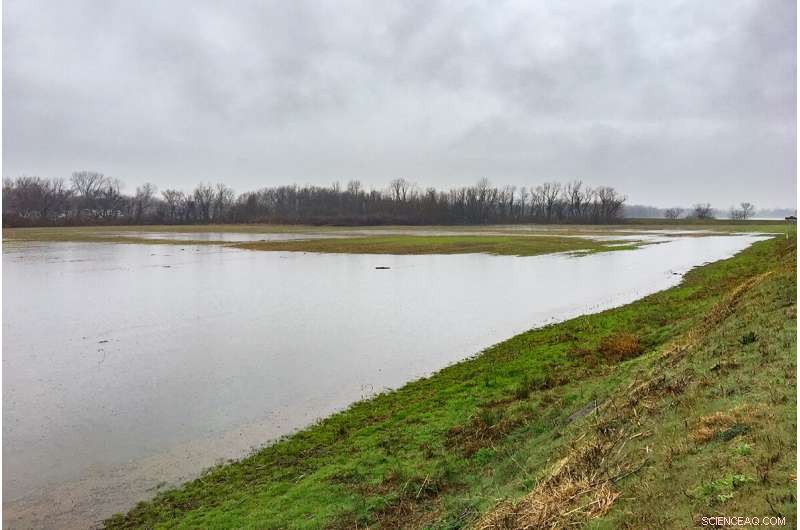 New Study Reveals Cahokia s North Plaza Likely Perennially Flooded