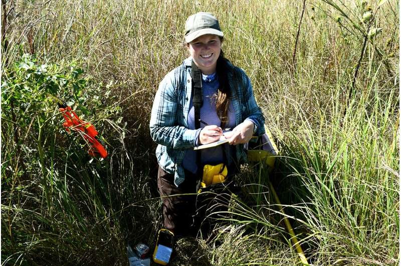 New Study Reveals Cahokia s North Plaza Likely Perennially Flooded