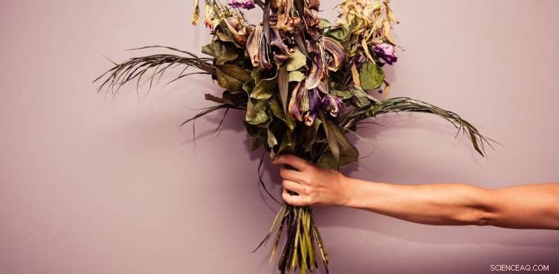 The Dark Side of Eudaimonic Social Media: When Kindness Turns Negative