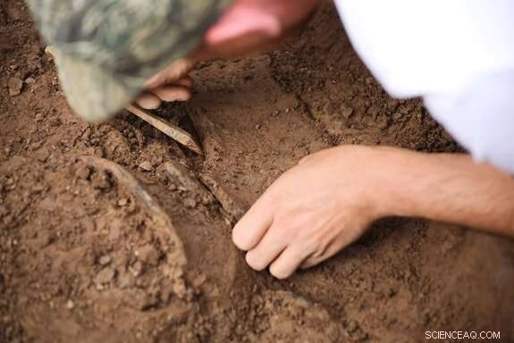 Bronze‑Age Enclosure May Hold Key to Cardiff’s Earliest Settlements