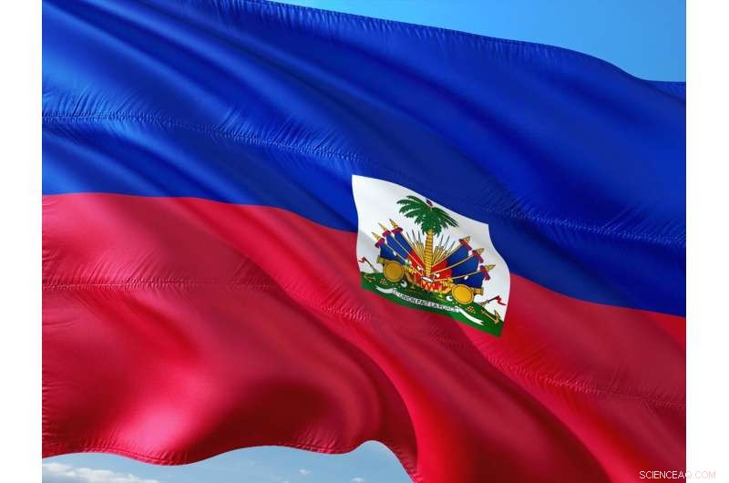 The Haitian Revolution: Revealing Human Rights  Limits in Tackling Inequality