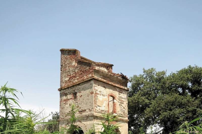 France Reenters Medical Cannabis Market After 50+ Years – New Regulations and Clinical Trials