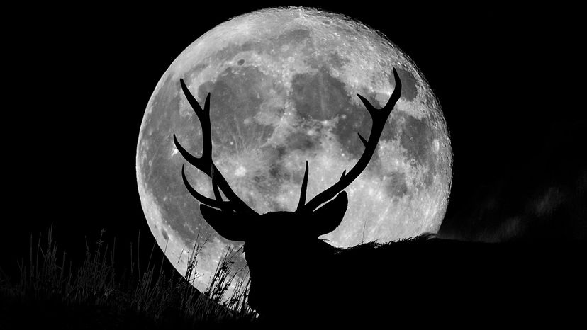 The Buck Moon: Why July’s Full Moon Earns Its Name