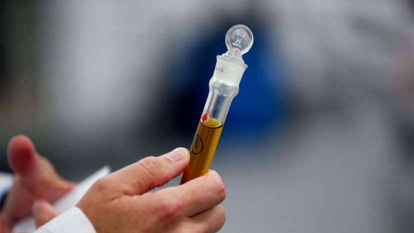 Terpenes Explained: Health Benefits & Everyday Uses