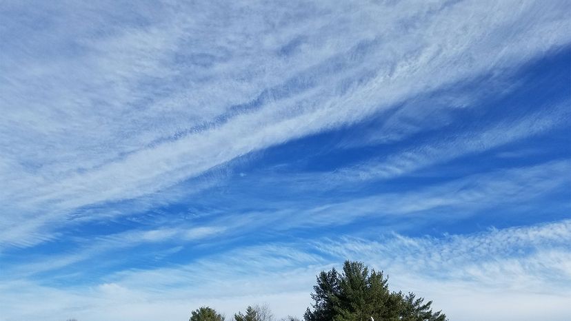 Rossby Waves: Their Role in Weather, Tides, and Climate