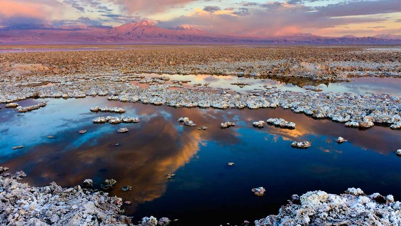 The Global Race for Lithium: Powering Innovation & Facing Environmental Challenges
