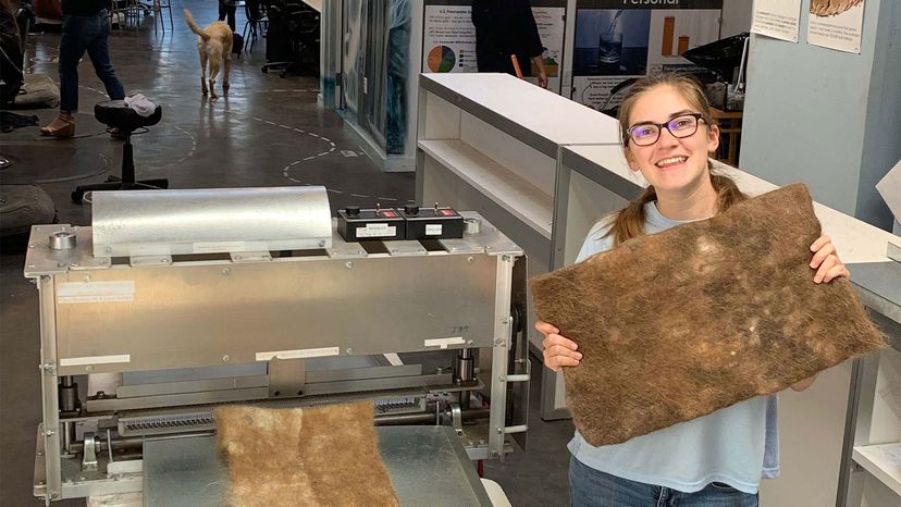 Donate Your Hair to Clean Our Waterways – Join the Fight Against Oil Pollution