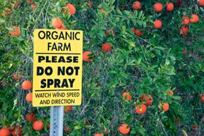 The Science Behind Organic Insecticides: How They Protect Crops Safely