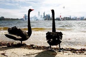 How the Living Earth Simulator Works: Predicting Our Planet’s Future