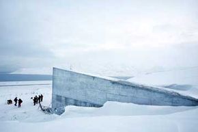 Can Seed Banks Preserve Threatened Plant Species?
