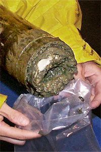 Understanding Frozen Fuel: How Methane Hydrate Powers Future Energy