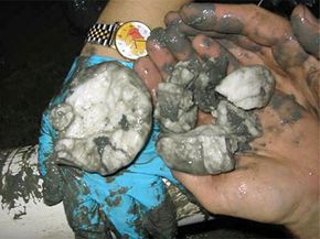 Understanding Frozen Fuel: How Methane Hydrate Powers Future Energy