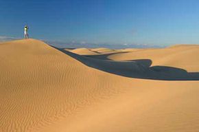 Do Sand Dunes Come Alive? Exploring Their Dynamic, Living-like Characteristics