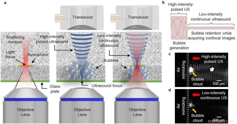 Revolutionizing Medical Imaging: Ultrasound-Enabled Tissue Transparency for Deep, High-Resolution Microscopy