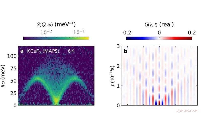 New Toolbox for Studying Spin Dynamics in 1D Quantum Chains