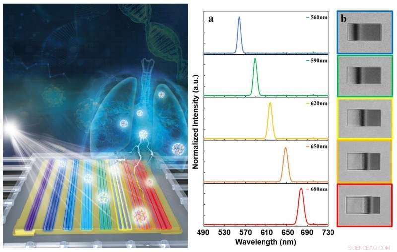 Fast, Accurate On-Chip Biosensing with a Toy Microscope and Rainbow Chip