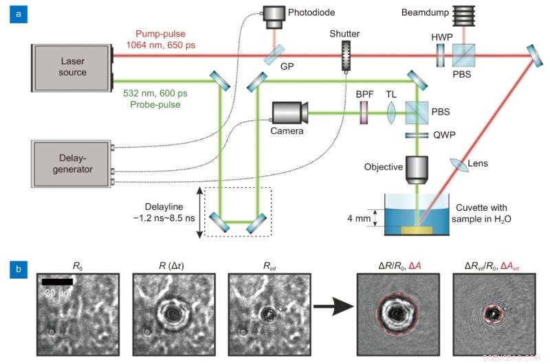 Unraveling the Superior Efficiency of Nanosecond Laser Ablation in Liquids via Time‑Resolved Studies