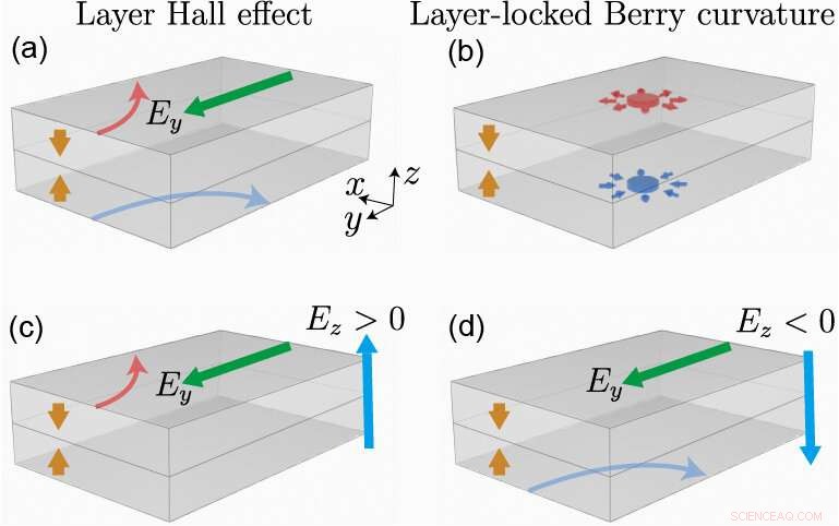 Unveiling the Layer Hall Effect and Hidden Berry Curvature in Antiferromagnetic Insulators