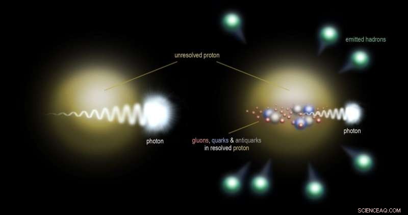 Proton Interiors Reveal Maximal Quantum Entanglement