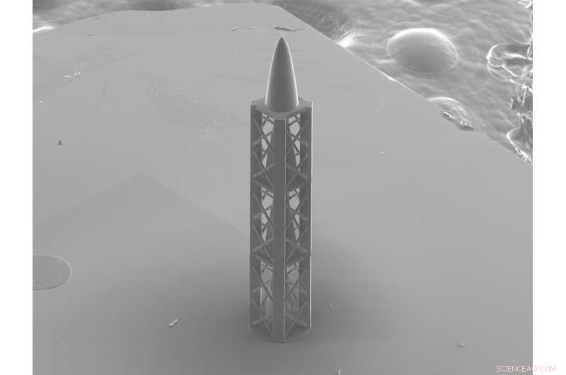 Innovative 3D‑Printed Achromatic X‑ray Lens Opens New Nanoworld Views