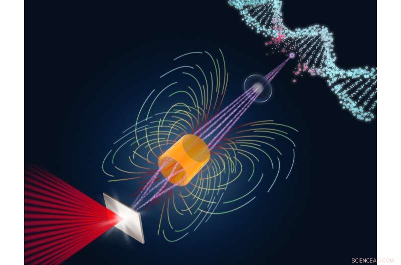 Helmholtz-Zentrum Dresden‑Rossendorf Achieves First Laser‑Driven Proton Tumor Irradiation