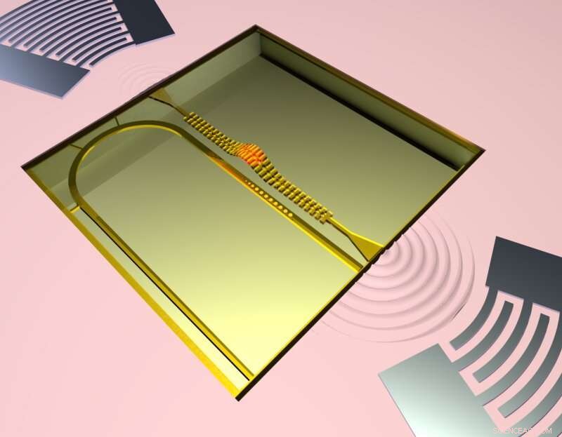 Revolutionizing IT: A Groundbreaking Multi‑Signal Platform Harnessing Phonons, Photons, and Electrons