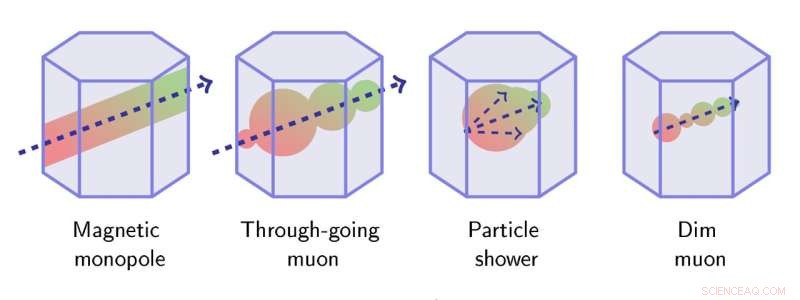IceCube Collaboration Tightens Constraints on Relic Magnetic Monopoles from the Early Universe