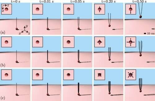 New Simulations Reveal Electrostatic Forces May Propel Spiders into the Air