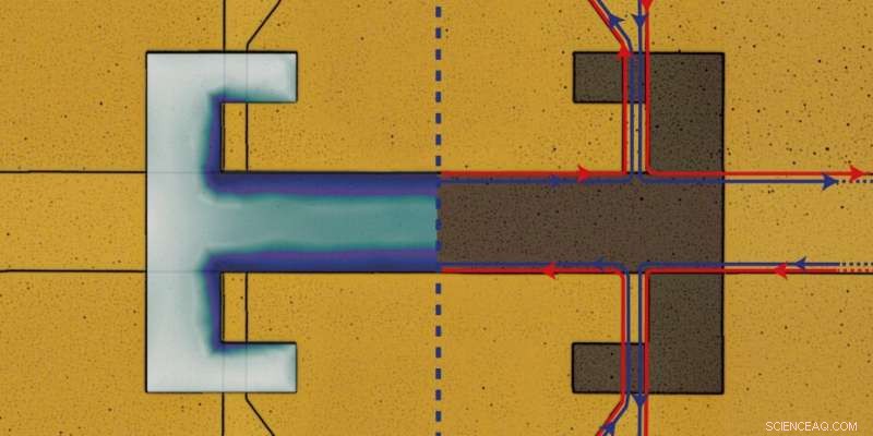Vacuum Fluctuations Disrupt Topological Protection in Quantum Materials
