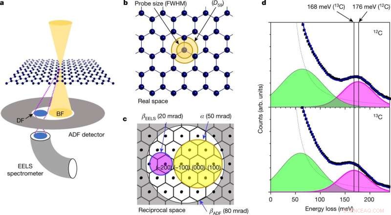 Mapping Carbon Isotope Diffusion with Atomic-Scale Vibrational Spectroscopy