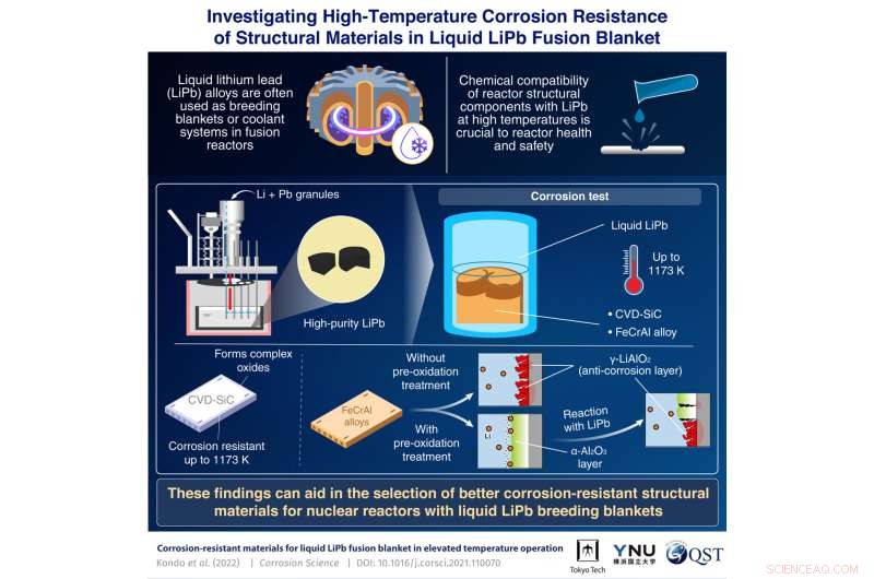 Choosing Optimal Structural Materials for Fusion Reactors: Ensuring Durability and Efficiency