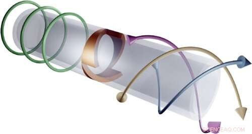 Researchers Confirm Corkscrew Elastic Waves Transport Well-Defined Orbital Angular Momentum