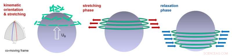 Why Bubbles Move Quicker in Viscoelastic Liquids