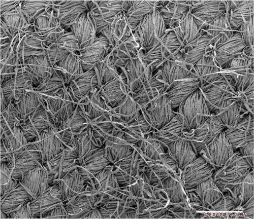 Surrey & Bristol Study Confirms FFP2 Masks Deliver Superior COVID Protection