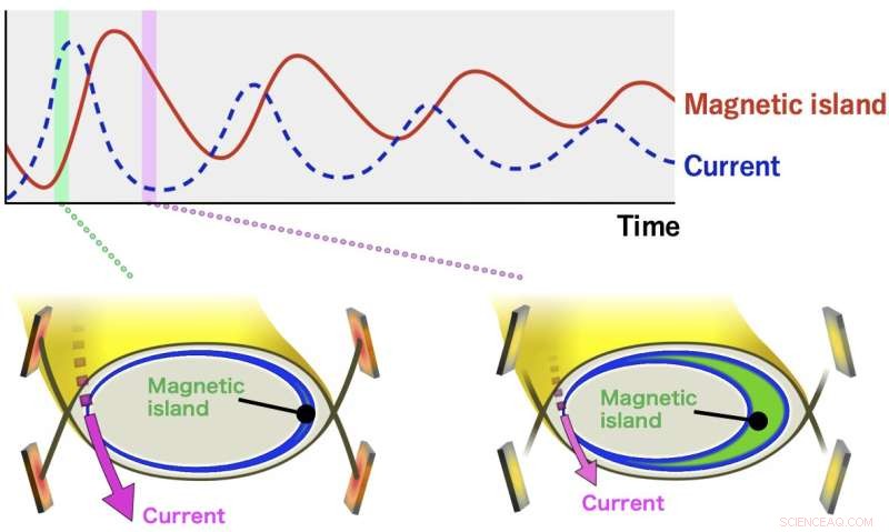 New Self-Sustaining Diverter Oscillation Mechanism Discovered in Fusion Plasma Experiments