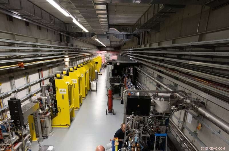 New Experiment Reveals Rapid Recovery Time for Plasma-Wakefield Accelerators