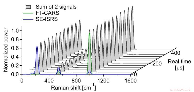 Real-Time THz-Fingerprint Vibrational Spectroscopy: 24,000 Spectra per Second