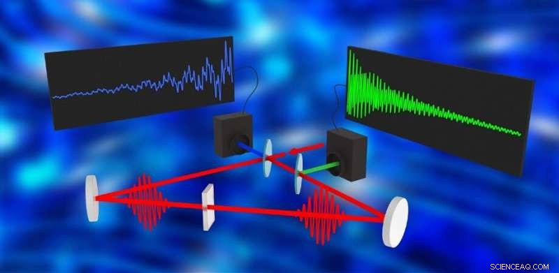 Real-Time THz-Fingerprint Vibrational Spectroscopy: 24,000 Spectra per Second