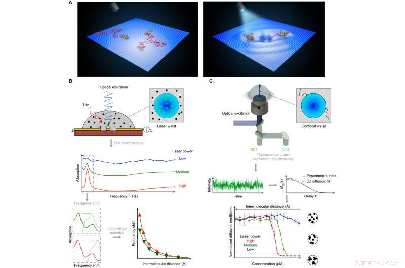 Experimental Confirmation of Long-Range Electrodynamic Intermolecular Forces