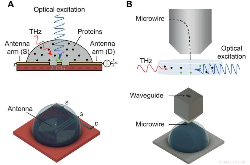 Experimental Confirmation of Long-Range Electrodynamic Intermolecular Forces