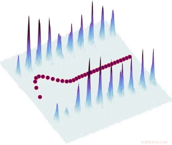 First Experimental Observation of Quantum Boomerang Effect in Disordered Systems