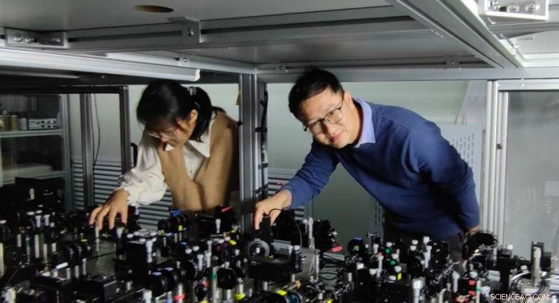Scientists Validate Real Quantum Theory Using an Optical Quantum Network