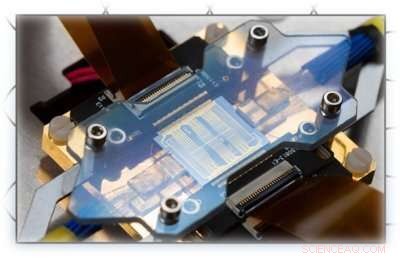 University of Twente Unveils Advanced Photon-Driven Quantum Processor