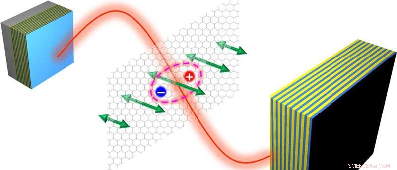 Uncovering Novel Excitonic States in Two‑Dimensional Materials
